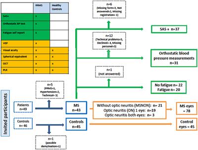 Neurodegenerative Interplay of Cardiovascular Autonomic Dysregulation and the Retina in Early Multiple Sclerosis